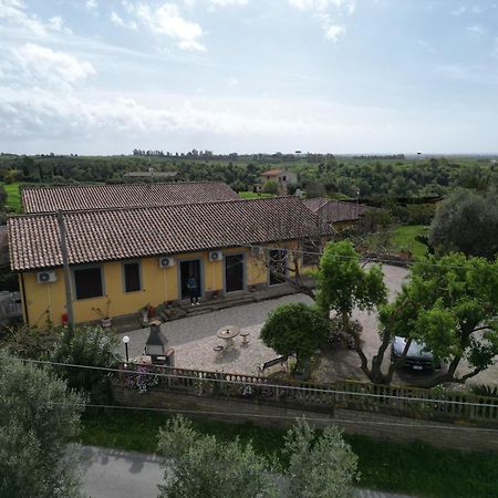 Le Casette In Collina Cerveteri Ngoại thất bức ảnh